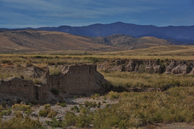 desert scenery